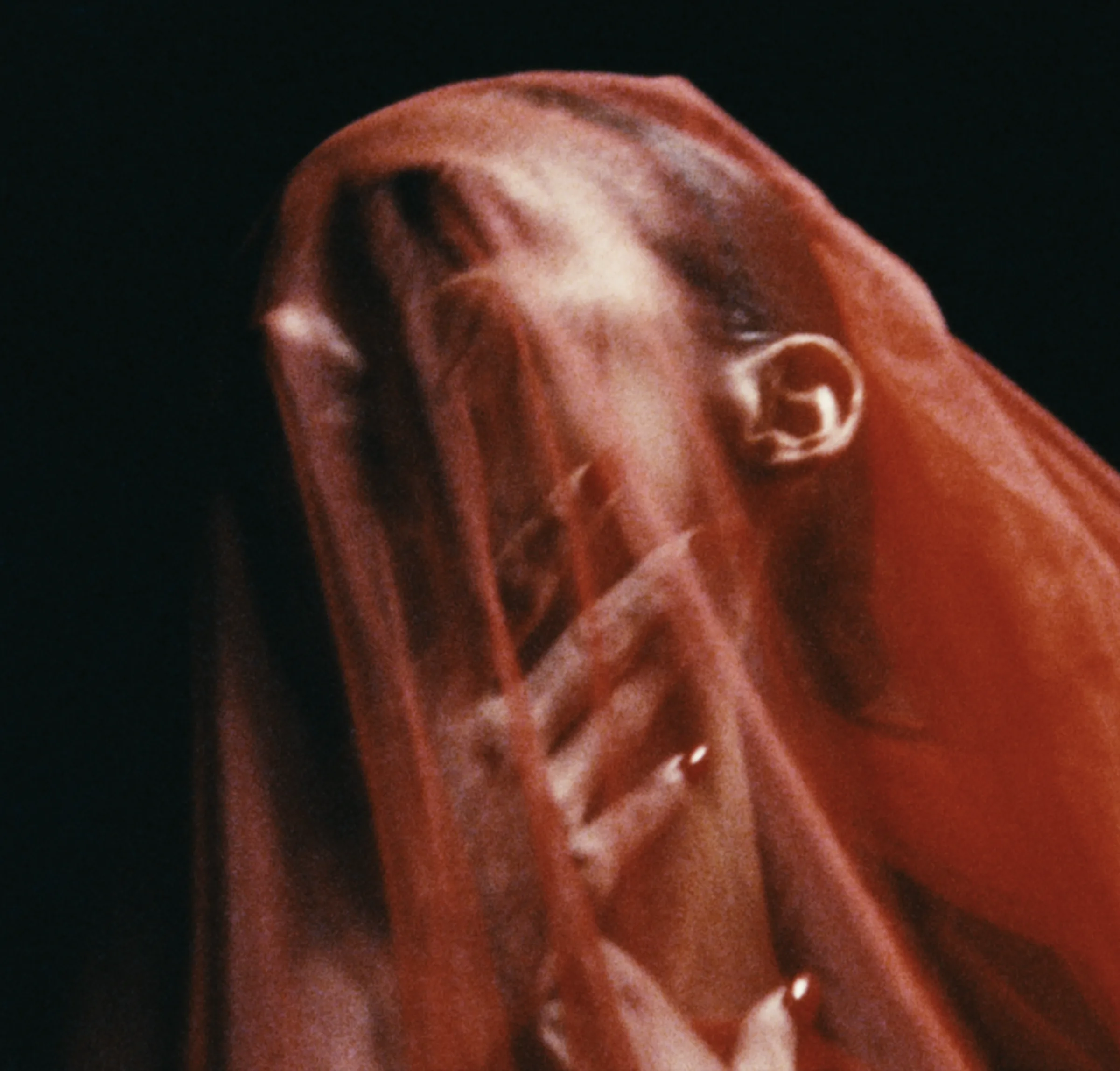 Abstract red-veiled portrait